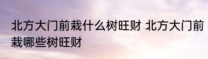 北方大门前栽什么树旺财 北方大门前栽哪些树旺财