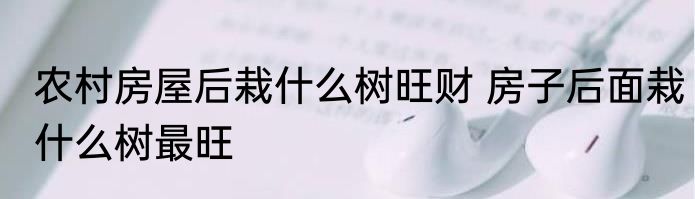 农村房屋后栽什么树旺财 房子后面栽什么树最旺