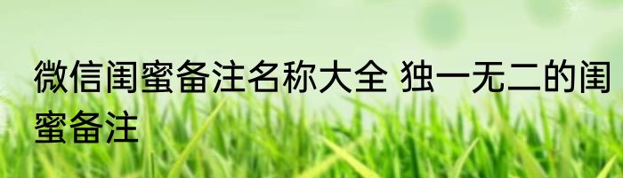 微信闺蜜备注名称大全 独一无二的闺蜜备注