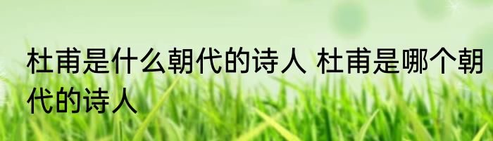 杜甫是什么朝代的诗人 杜甫是哪个朝代的诗人