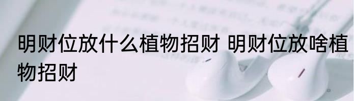 明财位放什么植物招财 明财位放啥植物招财