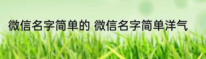 微信名字简单的 微信名字简单洋气
