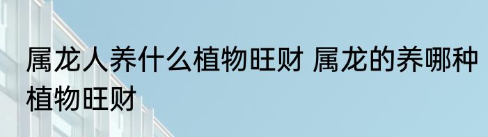 属龙人养什么植物旺财 属龙的养哪种植物旺财