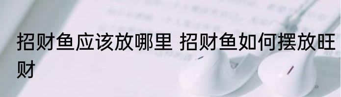 招财鱼应该放哪里 招财鱼如何摆放旺财