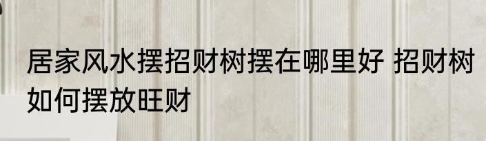 居家风水摆招财树摆在哪里好 招财树如何摆放旺财