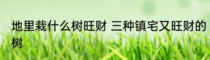 地里栽什么树旺财 三种镇宅又旺财的树