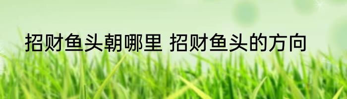 招财鱼头朝哪里 招财鱼头的方向
