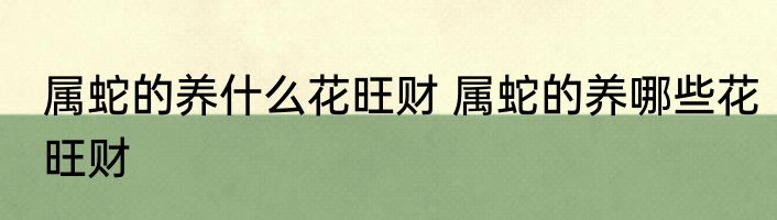 属蛇的养什么花旺财 属蛇的养哪些花旺财