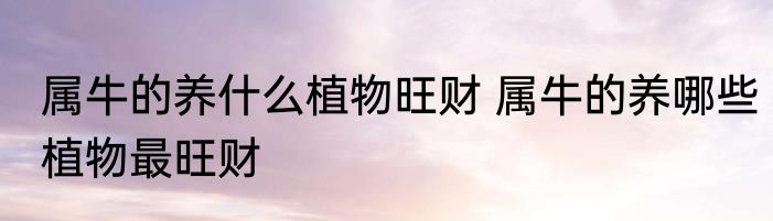 属牛的养什么植物旺财 属牛的养哪些植物最旺财