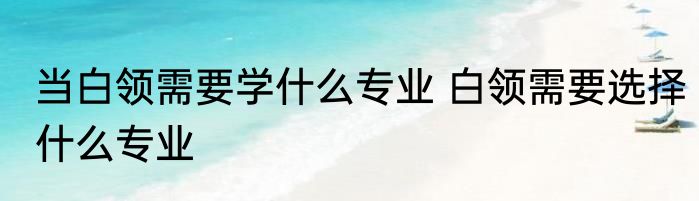 当白领需要学什么专业 白领需要选择什么专业