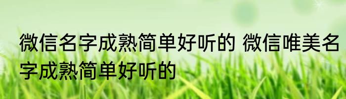 微信名字成熟简单好听的 微信唯美名字成熟简单好听的