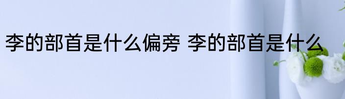 李的部首是什么偏旁 李的部首是什么