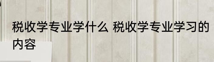 税收学专业学什么 税收学专业学习的内容