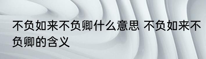 不负如来不负卿什么意思 不负如来不负卿的含义