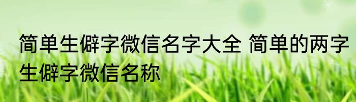 简单生僻字微信名字大全 简单的两字生僻字微信名称