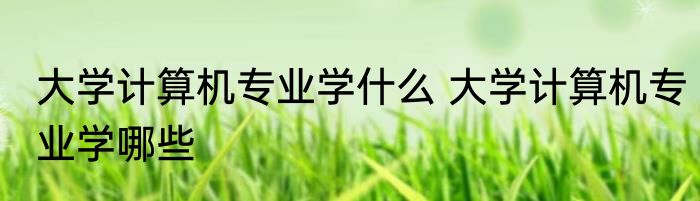 大学计算机专业学什么 大学计算机专业学哪些