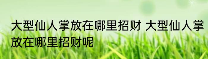大型仙人掌放在哪里招财 大型仙人掌放在哪里招财呢