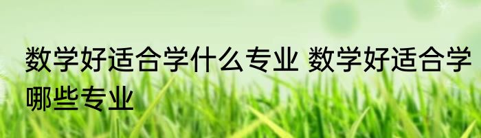 数学好适合学什么专业 数学好适合学哪些专业