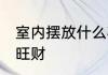 室内摆放什么花旺财 室内摆放哪些花旺财