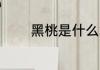 黑桃是什么意思 黑桃的含义