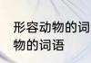形容动物的词语有哪些 有什么形容动物的词语