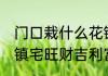 门口栽什么花镇宅旺财吉利富贵 门口镇宅旺财吉利富贵种什么花