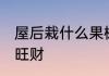 屋后栽什么果树旺财 屋后栽哪些果树旺财