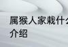 属猴人家栽什么花旺财 属猴人旺财花介绍