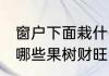 窗户下面栽什么果树财旺 窗户下面栽哪些果树财旺