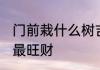 门前栽什么树吉祥旺财 门前种什么树最旺财
