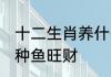 十二生肖养什么鱼旺财 十二生肖养哪种鱼旺财
