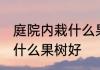 庭院内栽什么果树镇宅旺财 庭院内栽什么果树好