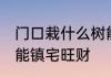 门口栽什么树能镇宅旺财 门口栽啥树能镇宅旺财