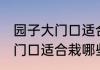 园子大门口适合栽什么树旺财 园子大门口适合栽哪些树旺财