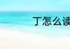 丁怎么读音 丁如何读音