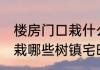 楼房门口栽什么树镇宅旺财 楼房门口栽哪些树镇宅旺财