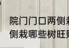 院门门口两侧栽什么旺财 院门门口两侧栽哪些树旺财