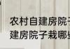 农村自建房院子栽什么树旺财 农村自建房院子栽哪些树旺财