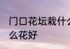 门口花坛栽什么花旺财 门口花坛栽什么花好