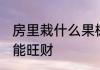 房里栽什么果树旺财 房里栽哪种果树能旺财