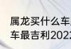 属龙买什么车颜色旺财 属龙什么颜色车最吉利2022年