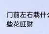 门前左右栽什么花旺财 门前左右栽哪些花旺财