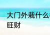 大门外栽什么树旺财 大门外栽哪些树旺财