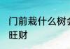门前栽什么树会旺财 门前栽哪些树会旺财