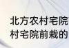 北方农村宅院前栽什么树旺财 北方农村宅院前栽的旺财树