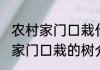 农村家门口栽什么树旺财 适合在农村家门口栽的树介绍