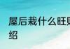 屋后栽什么旺财 适合在屋后栽的树介绍