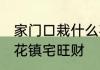 家门口栽什么花镇宅旺财 家门口栽啥花镇宅旺财