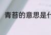 青苔的意思是什么 青苔是什么意思