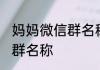 妈妈微信群名称大全集 洋气宝妈闲聊群名称